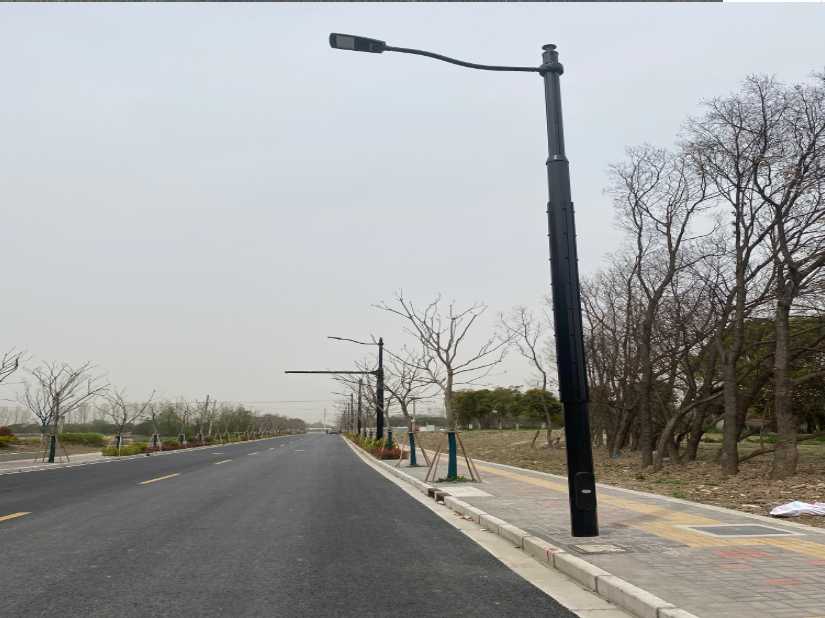 遂溪县上海综合杆 太阳能路灯工程